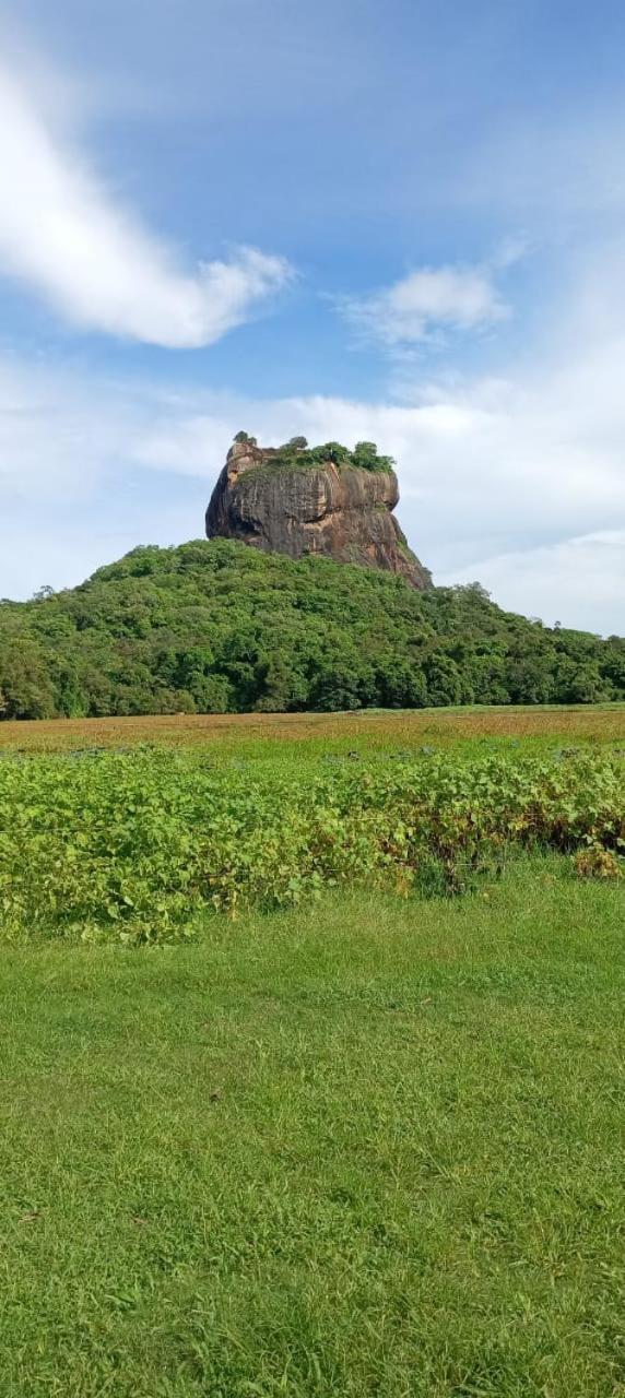 Kings Village Sigiriya Bagian luar foto