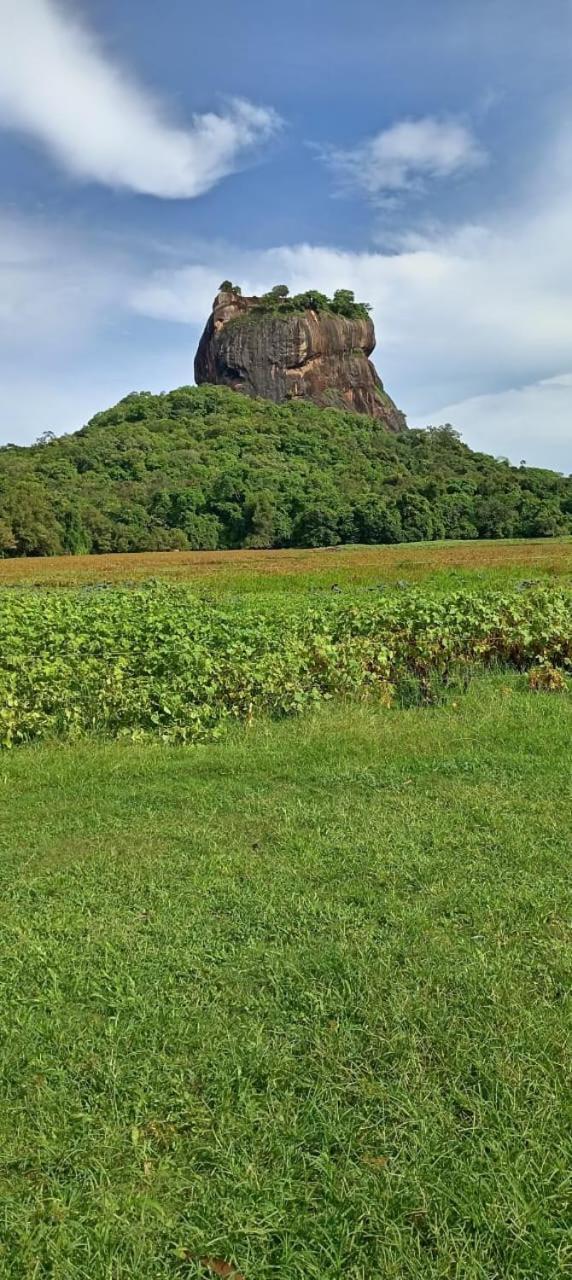 Kings Village Sigiriya Bagian luar foto