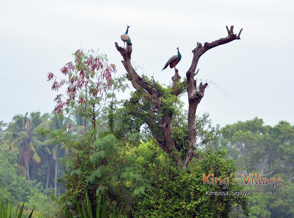 Kings Village Sigiriya Bagian luar foto