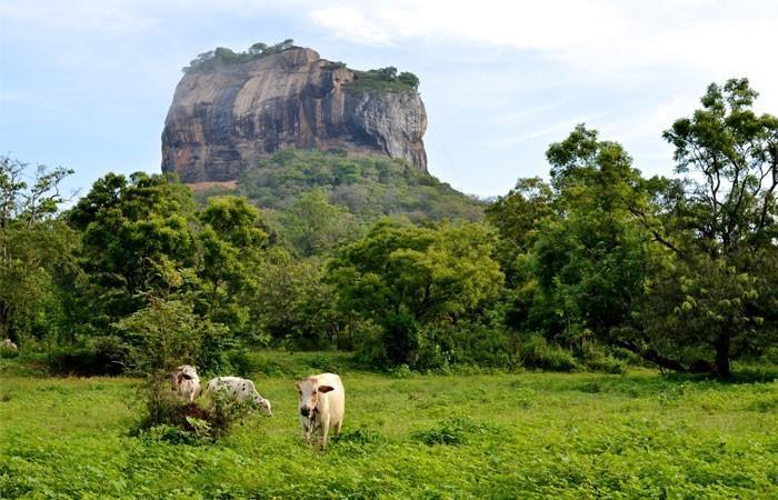Kings Village Sigiriya Bagian luar foto