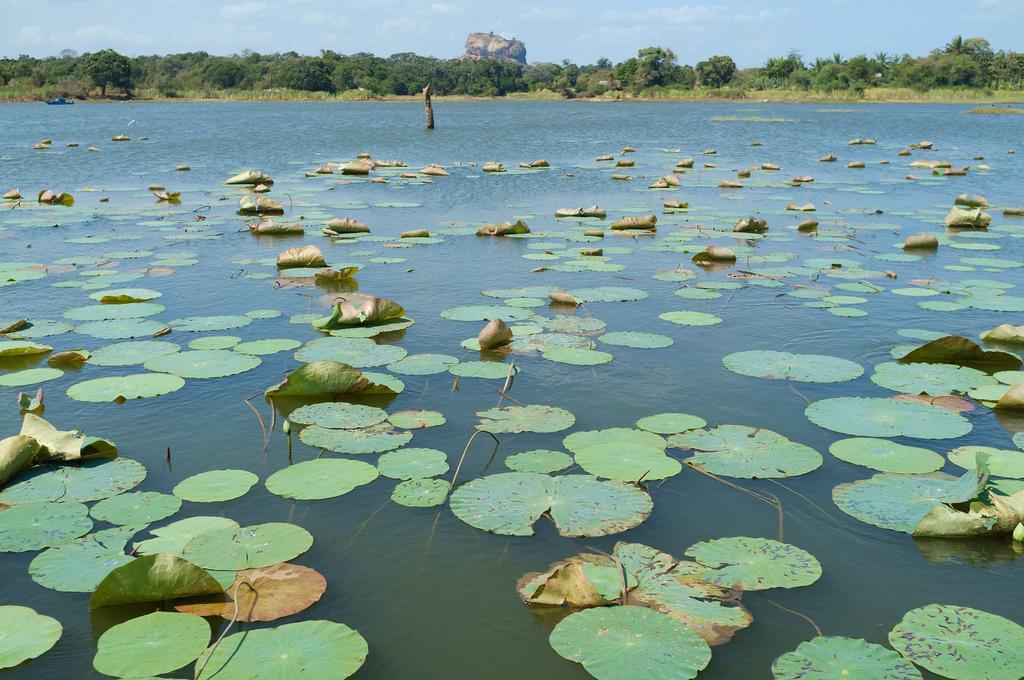 Kings Village Sigiriya Bagian luar foto